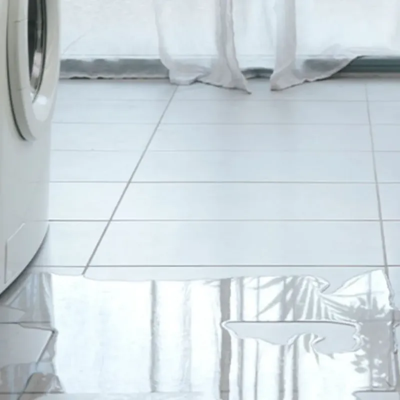 Appliance Leak Cleanup in Ridgeway, AK