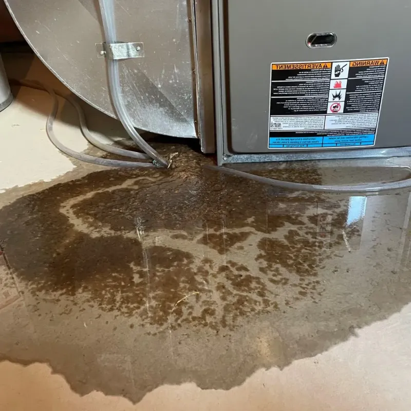 Pipe Burst and Leak Restoration in Ridgeway, AK