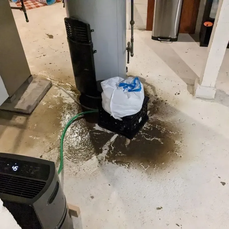 Sewage Backup Cleanup Service in Ridgeway, AK